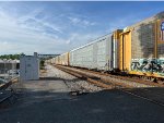TTGX 824826